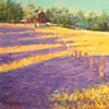 Property Line