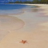 The Beach
