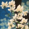 Under the Dogwood