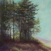 The Pines