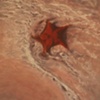 Ocean Star