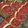 Strawberry Faire