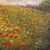 Morning Poppies