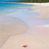 Antiguan Beach