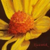 Drop of Gold