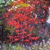 Autumn Color