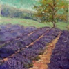 Purple Haze