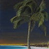 Lone Palm At Night