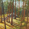 Tall Pines