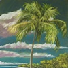 Palm Shade