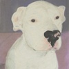 Casper The Friendly Dog