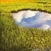 Reflection