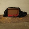 "Cat Shelter"