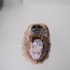 Bear mouth
