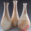 Bottle Vases