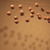 Collagen
