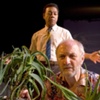 "A Lesson From Aloes"