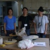 Amazing assistants!