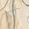 entangled (sketch)