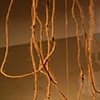 untitled (change)