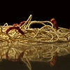 Untitled (Constant transformation)