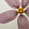 Pink Wallflower