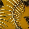 Fish Bones