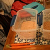 Home: Mealworm Farm