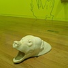 Black or Brown Bear; Bear Rug Shell
Fluorescent Paint

MFA Thesis Exhibition
Tufts University, Medford, MA
