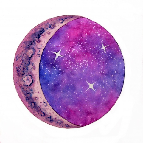 Spactini Sugar