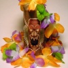 Voodoo Tiki Tequila Layout