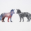 Foxes