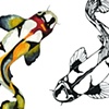 Duet (Koi)