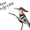 A Tibetan Bird's ABCs