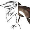 Nighthawk (Triplex)