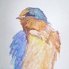 Watercolor