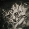 Charcoal
