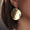Brass shields