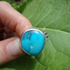 Turquoise seed ring