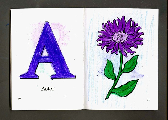 A is for Aster