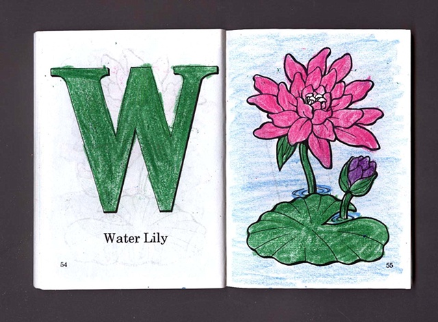 W Is For Water Lily