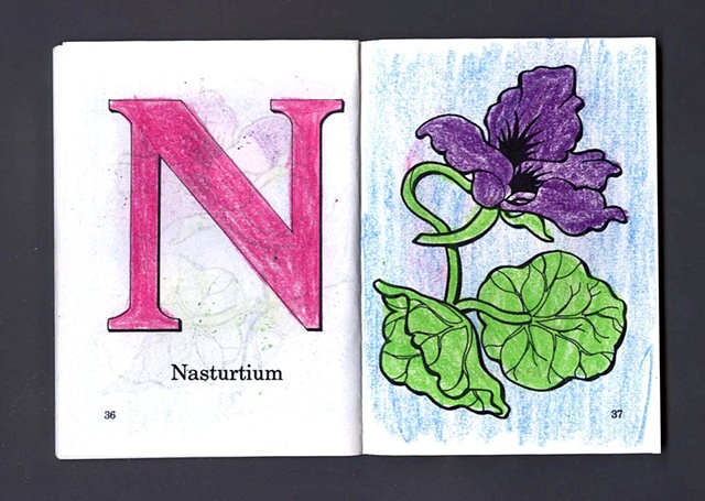 N Is For Nasturtium