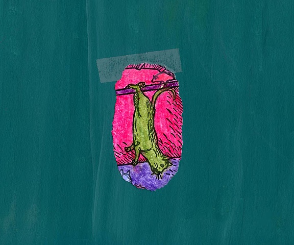 Green Cat 