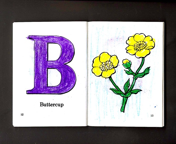 B Is For Buttercup