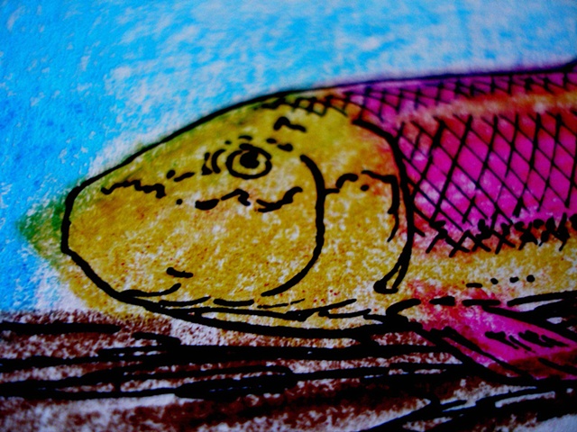 Fish Head