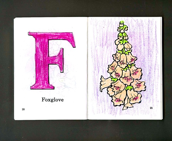 F Is For Foxglove