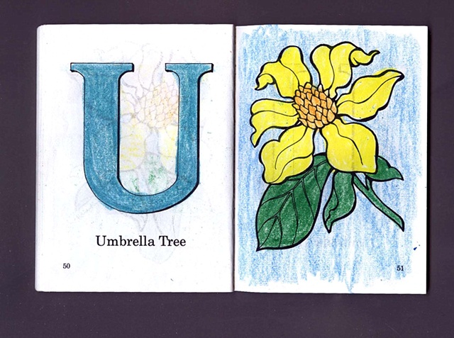 U Is For Umbrella Tree