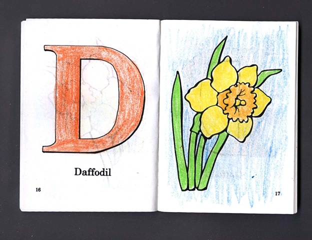 D Is For Daffodil