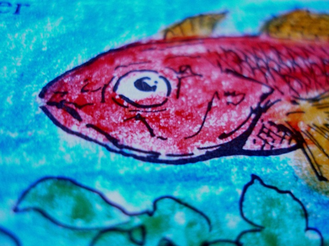 Fish Head