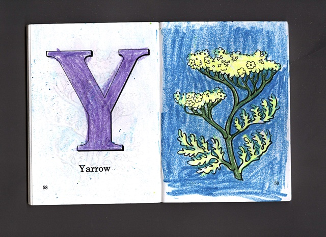 Y Is For Yarrow